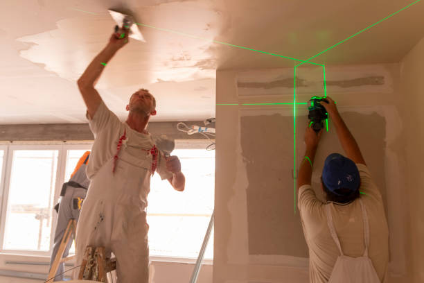 Best Mold Damage Restoration  in Shelton, NE