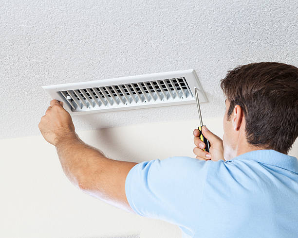 Best Asbestos and Lead Testing During Mold Inspection  in Shelton, NE