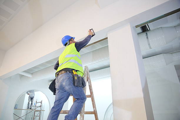 Best Environmental Consulting for Mold Prevention  in Shelton, NE